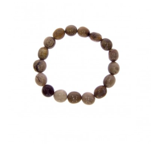 Käevõru, fossiilkorall (1752)