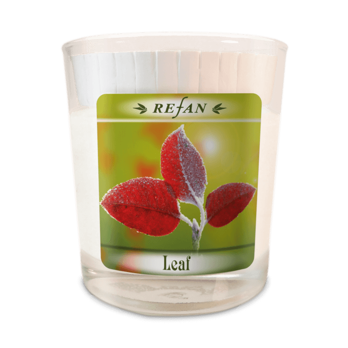 Sojavahast lõhnaküünal Leaf - klaasis (1973)    Lõpumüük!