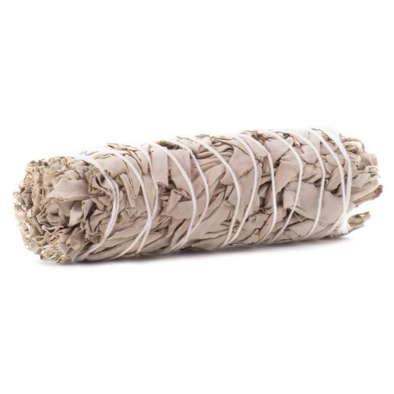 Valge salvei (White sage) 20g (2167)